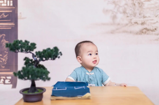 试管代怀生子合法吗十五个月宝宝发育标准